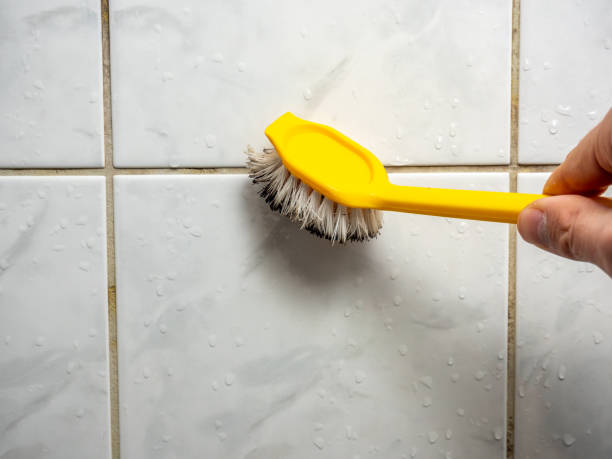Best Residential Mold Removal  in Merrill, IA
