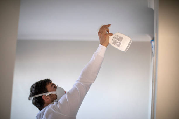 Best Office Mold Removal Services  in Merrill, IA