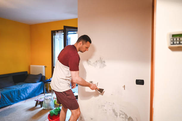 Best Commercial Mold Removal  in Merrill, IA